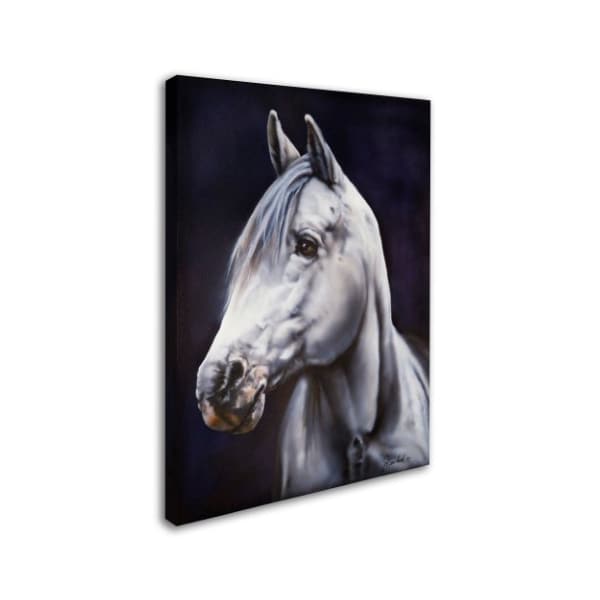 Jenny Newland 'White Arabian Stallion' Canvas Art,24x32